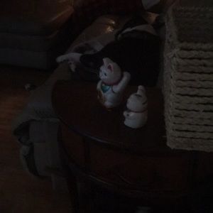 Meet your Posher, Renee